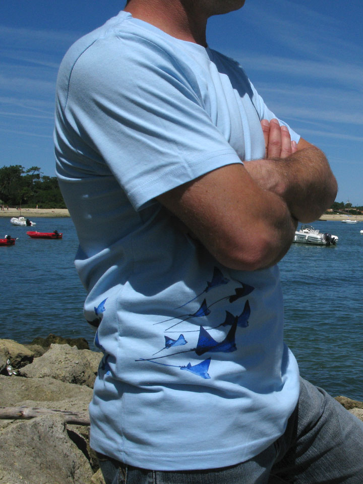 tee-shirt Dykkeren The Eco-Friendly Divewear Fairwear coton bio plongée sous-marine Eagle Rays raies